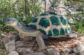Kids_DFWzoo_3-2016 (31)